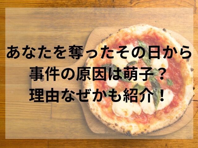 あなたを奪ったその日から事件の原因は萌子？理由なぜかも紹介！