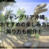 ジャングリア沖縄2歳おすすめの楽しみ方は？周り方も紹介！